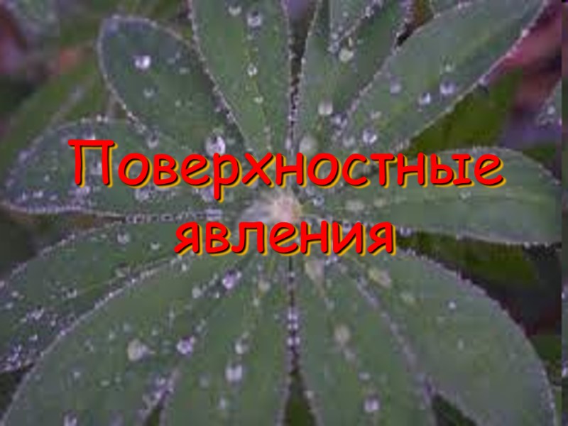 Поверхностные явления Поверхностные явления